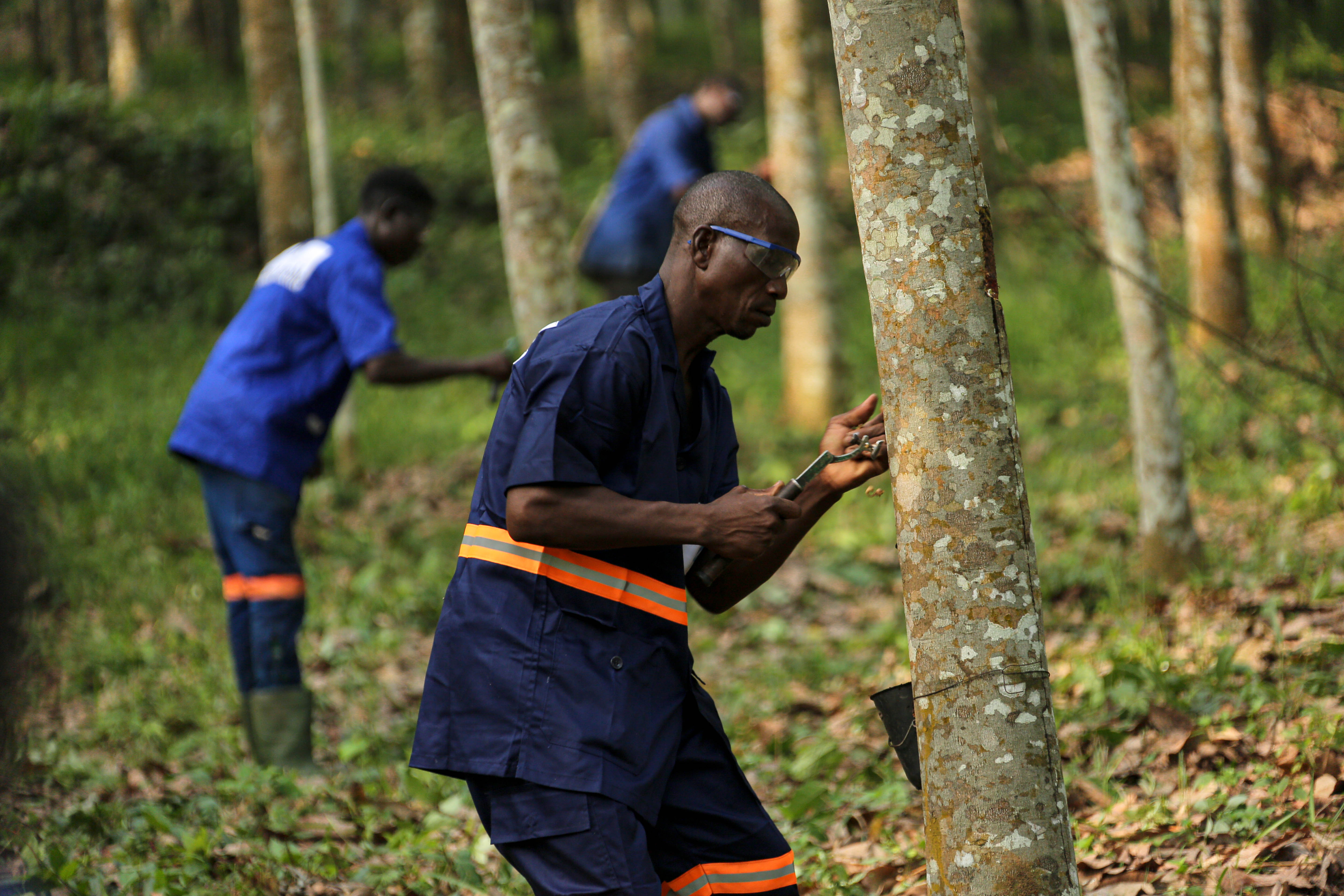 1700040739466028674.jpg 1700040739466028674.jpg